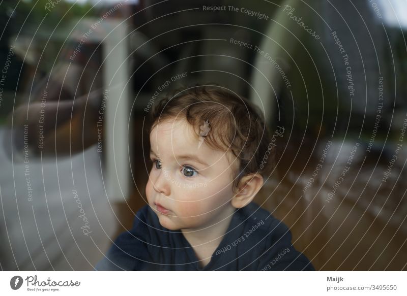 Boy behind the glass Child Infancy Toddler Boy (child) eyes Within Human being Colour photo Day Shallow depth of field Cute 1 - 3 years Happy Masculine