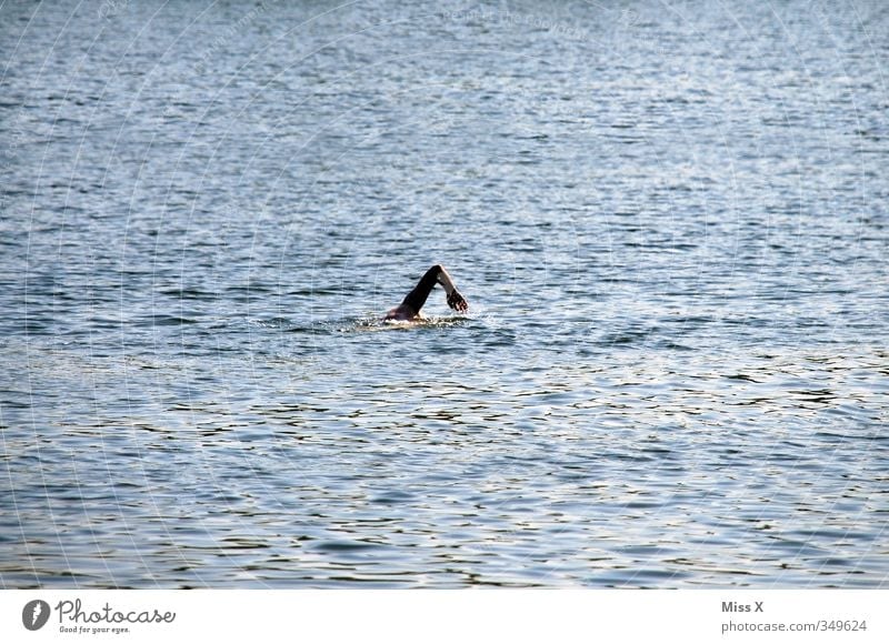 Still Water Athletic Fitness Leisure and hobbies Summer vacation Waves Sports Swimming & Bathing Human being Arm 1 North Sea Baltic Sea Ocean Lake Emotions