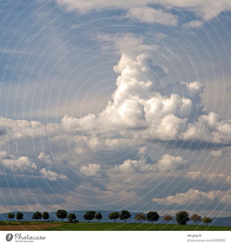 cheerful to cloudy Agriculture Forestry Environment Nature Landscape Plant Earth Sky Clouds Storm clouds Horizon Summer Climate Climate change Weather