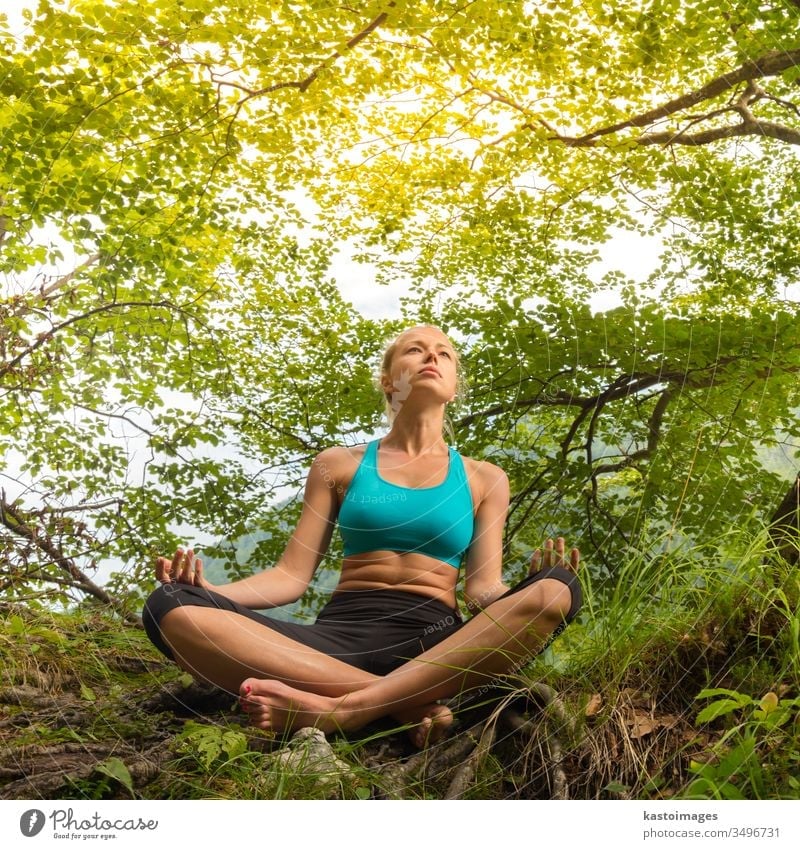 Woman relaxing in beautiful nature. female lifestyle woman tree healthy spirituality summer beauty meditation girl yoga relaxation person zen vitality body