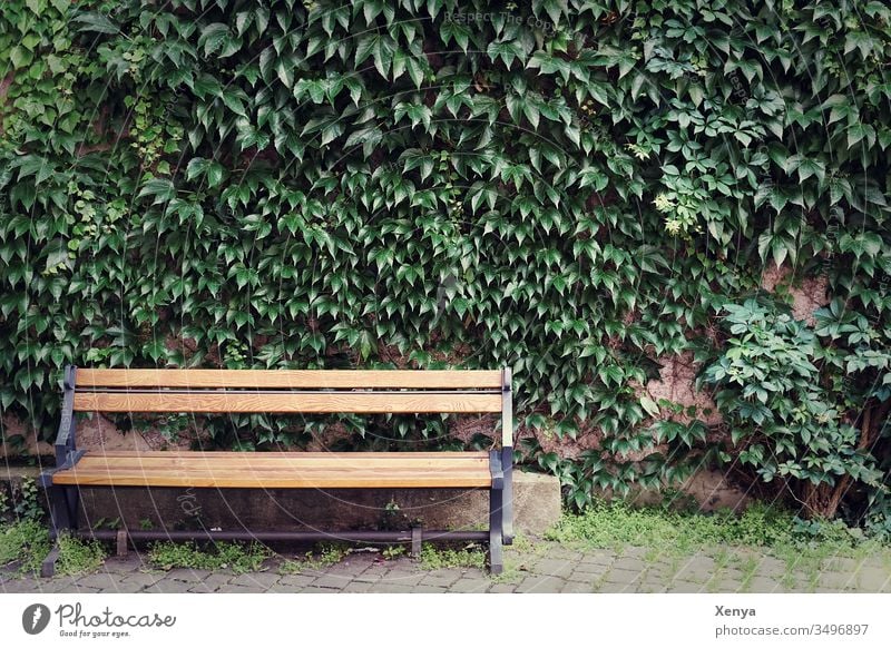 Empty park bench Park bench unmanned Bench Deserted Day Calm Loneliness Seating Wood Wooden bench Colour photo Exterior shot Copy Space top Break Relaxation