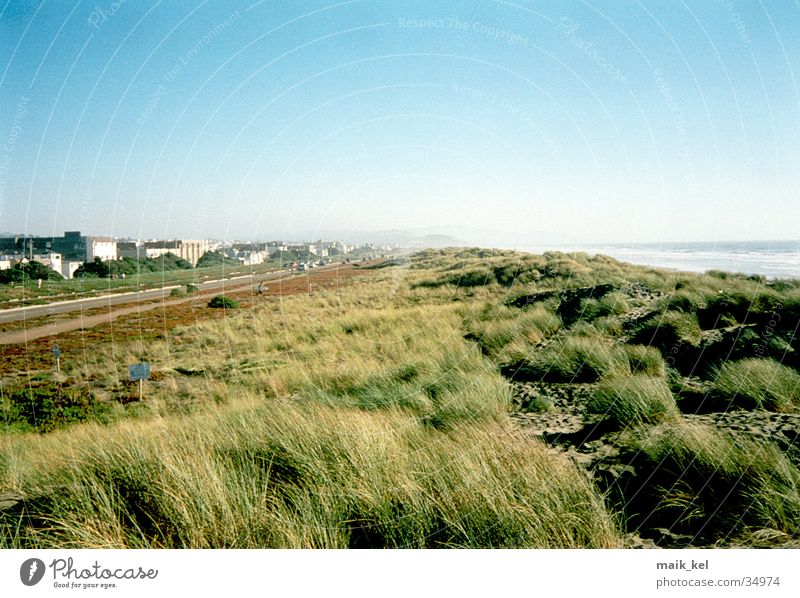 San Francisco Beach Grass Green Ocean Landscape Wind