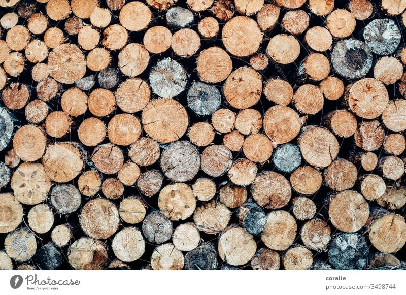 Stacked logs Wood Tree trunk tree trunks wooden farm Hunter Firewood campfire Exterior shot Deserted Stack of wood Brown Structures and shapes Fuel Supply