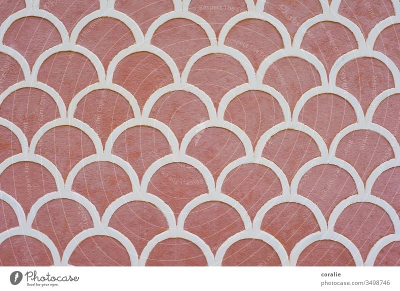 Pink white mermaid pattern on the wall Mermaid Pattern pink background White Elegant Beautiful Symmetry even Structures and shapes Abstract Deserted Colour