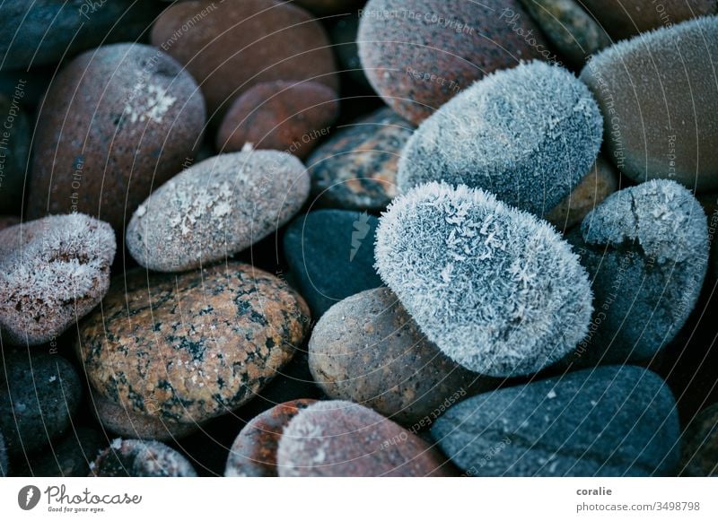 Frozen stones in winter iced Winter Flotsam and jetsam Ice Snow Frost Cold Crystal structure Ice crystal Frostwork Freeze Blue Hoar frost