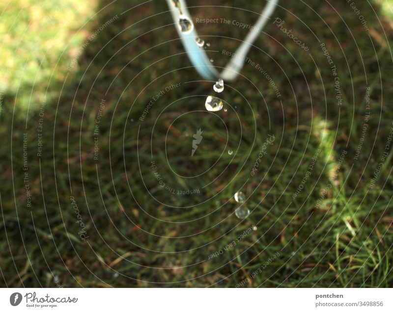 Drops of water and water jet from watering can fall on grass Green Grass Gardening Cast Summer Water Wet Jet of water Nature Meadow plants Gardener Spring