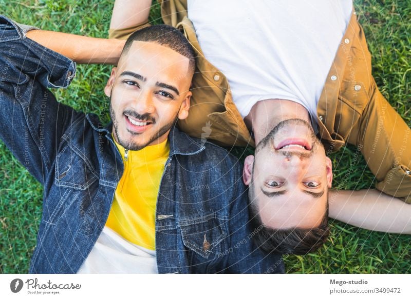 Gay couple laying down on the grass at the park. gay love relationship resting date lovely partnership positive relax freedom life young pride nature dating