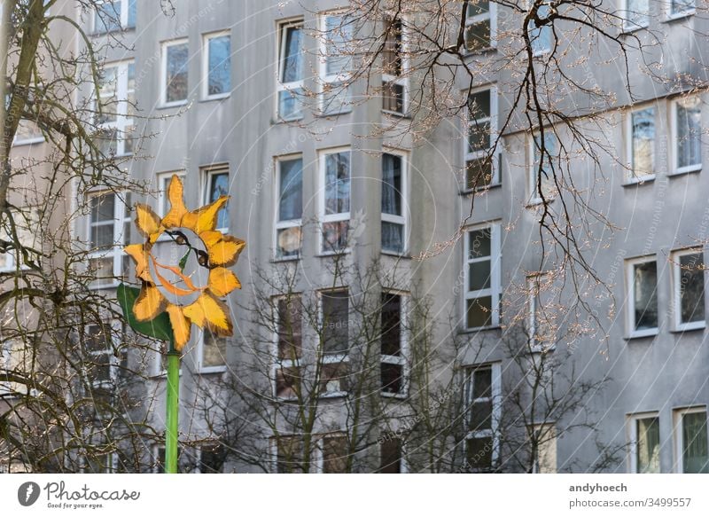 The colored spot in front of the gray facade apartment architecture Background bare tree Berlin block branch building building exterior built structure city
