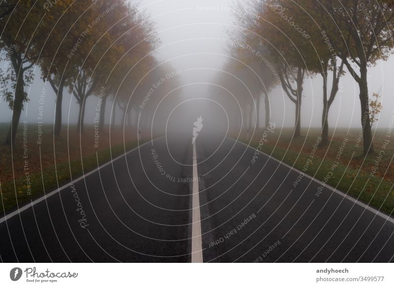 The road in autumn and thick fog asphalt avenue bad sight copy space danger dangerous divided dividing line drive driving empty empty road fall foggy forward