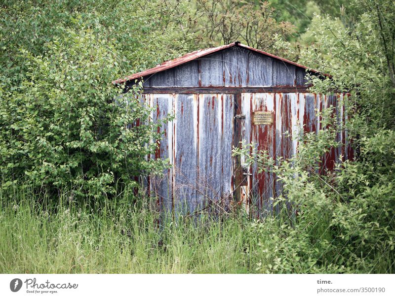 Garage parking space, inexpensive (please clear the land yourself if necessary) Wood Hut locked Nature Grass Bushes Parking space overgrown covert