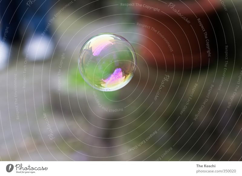 Journey of a bubble Playing Toys Water Esthetic Multicoloured Violet Joy Soap bubble Colour photo Exterior shot Close-up Detail Deserted Day Light Reflection