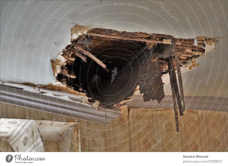 A hole in the ceiling. Old building lostplace Villa moisture decay Disintegration process Ruin Sarringing Poverty Water damage haunted house asbestos