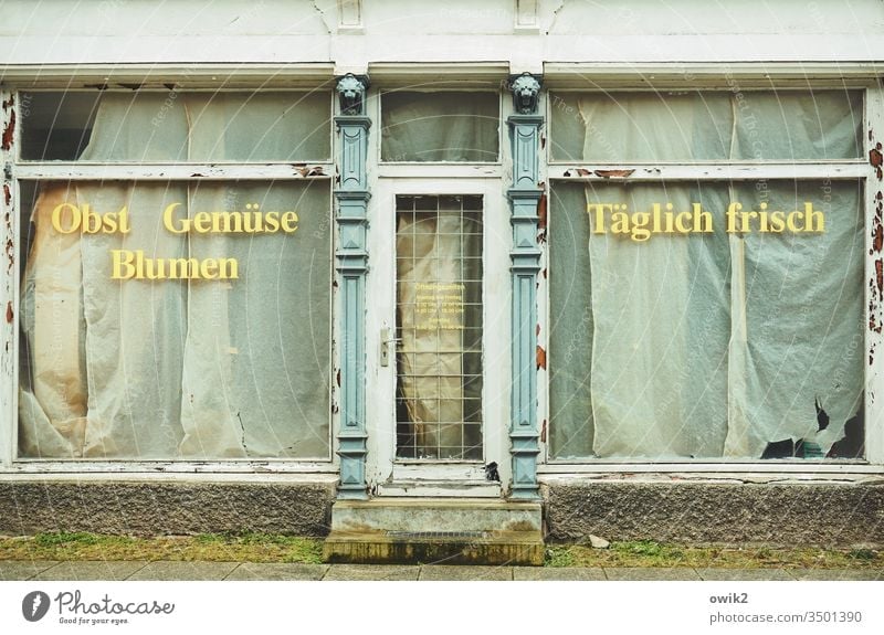 Supply and demand business Store premises Storefront Door Shop window Eastern Germany writing lettering fruit Vegetable flowers fresh every day publicity