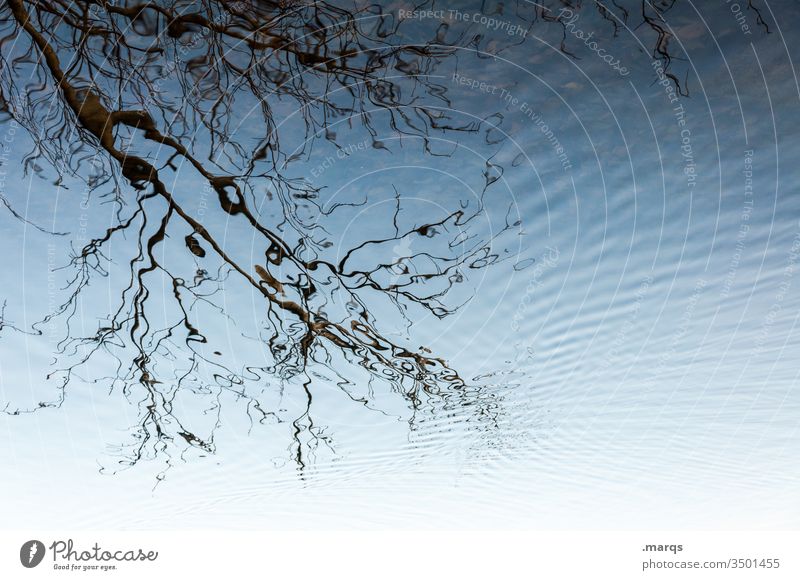 branch Branch Autumn Water Waves Reflection Delicate fractal Distorted Esthetic already Blue Black Lake Nature