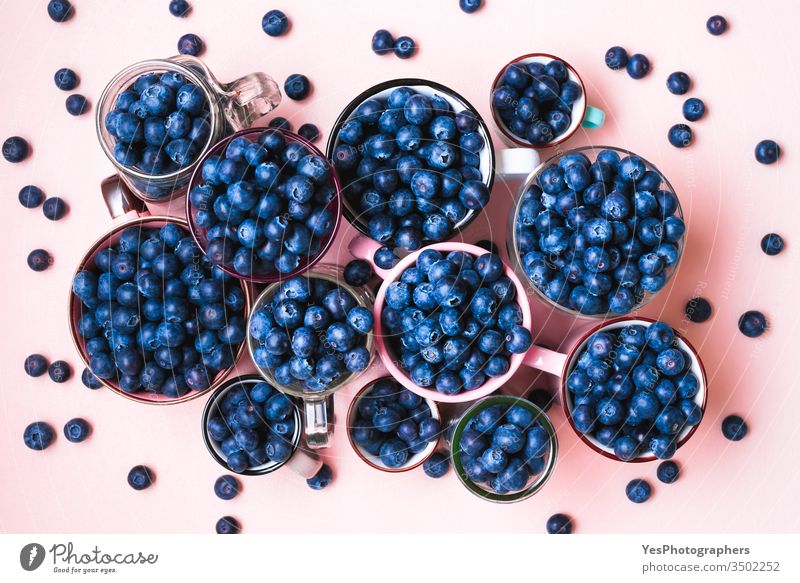 Fresh blueberries in cups top view. above view abundance agriculture berry blue fruits blueberry bowl colorful delicious diet dieting farmers market food fresh