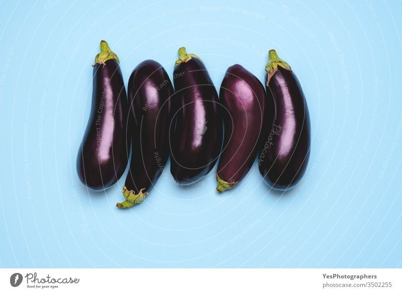 Fresh eggplants arranged in a row on a blue background 5 above view agricultural agriculture aligned aubergine bio diet farmers market five food