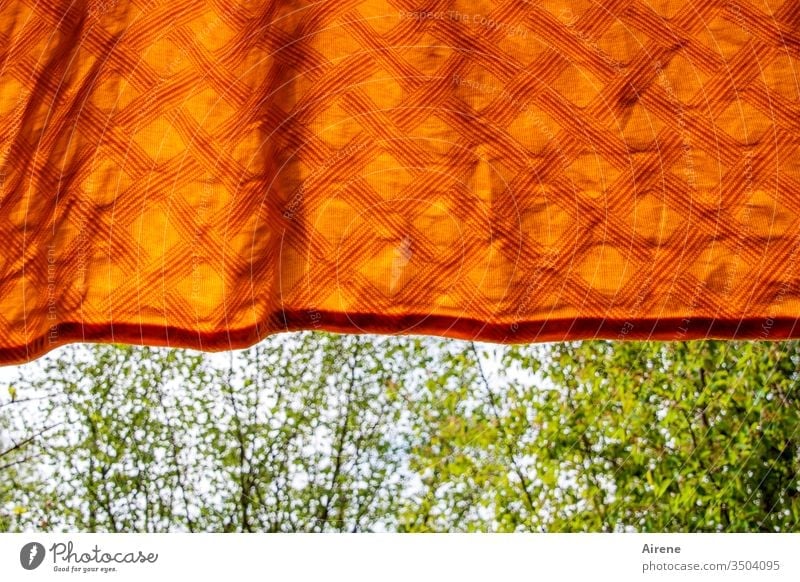 freshly washed Blanket Laundered Laundry Damp Dry Rag Duvet hung spring huts fresh green bushes Beautiful weather Orange neon colours neat Fresh kind Checkered