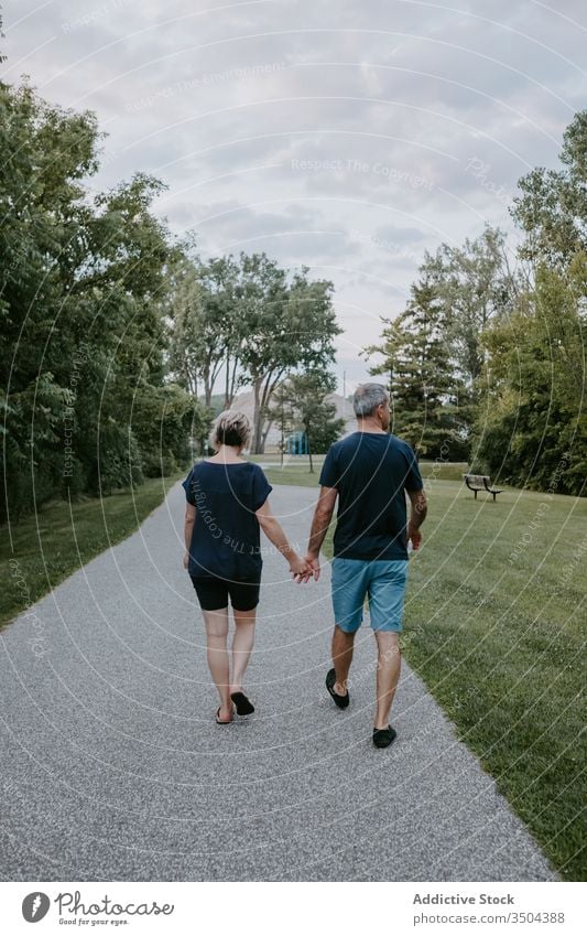 Mature couple walking in park together romantic holding hands mature casual love relationship married adult summer green path affection bonding relax tree