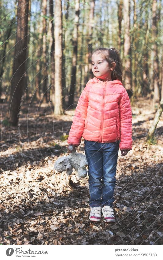 Little girl child standing on stump in a forest during a walk on sunny spring day keeping a toy teddy bear looking away kid nature little childhood park