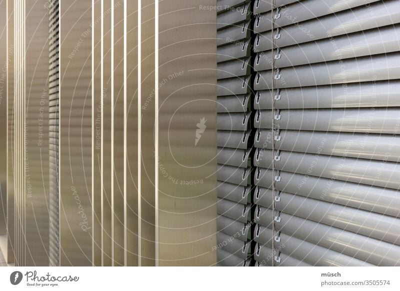 Venetian blind Window Refusal Metal Gray lines blackout structure Decoration obstacle Looking sight Protection Architecture perpendicular Across roller shutter