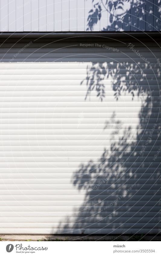 Tree shadow on garage door Light Shadow tree Garage Goal Gray White leaves lines obstacle Protection car Summer Cow Curiosity