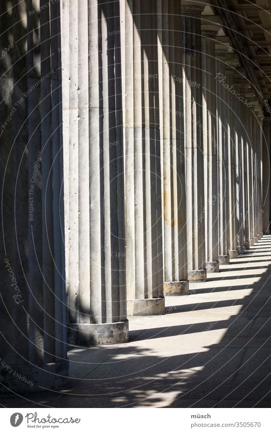 columns structure Corridor Light Shadow Marble lines Might Money Architecture Gray Sky Craft (trade)
