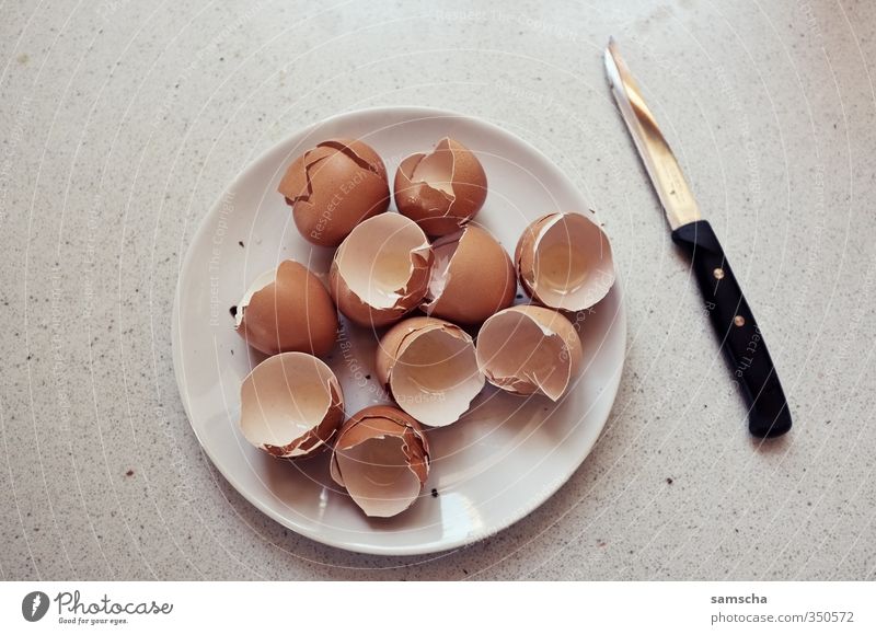 Eggs for breakfast Food Nutrition Eating Breakfast Diet Plate Cutlery Knives Kitchen Fitness Sports Training Healthy Broken Eggshell Egg dishes Egg production