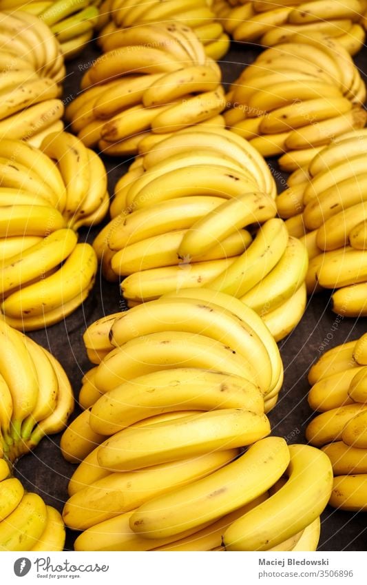 Natural ripe banana bunches on a local market. fruit exotic food diet tropical organic vitamin fresh yellow healthy many sale plant sweet natural