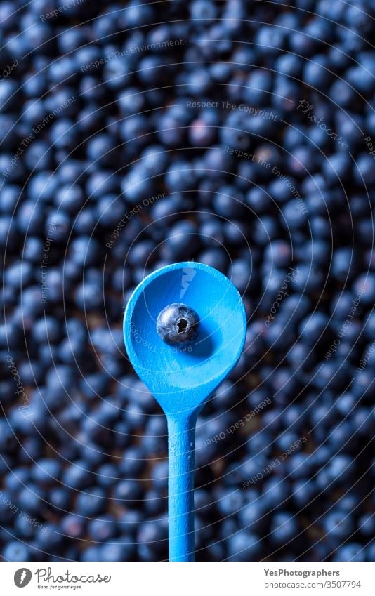 One blueberry fruit in a spoon. Ripe blueberries 1 above view abundance agriculture background blue fruits colorful delicious diet dieting farmers market food
