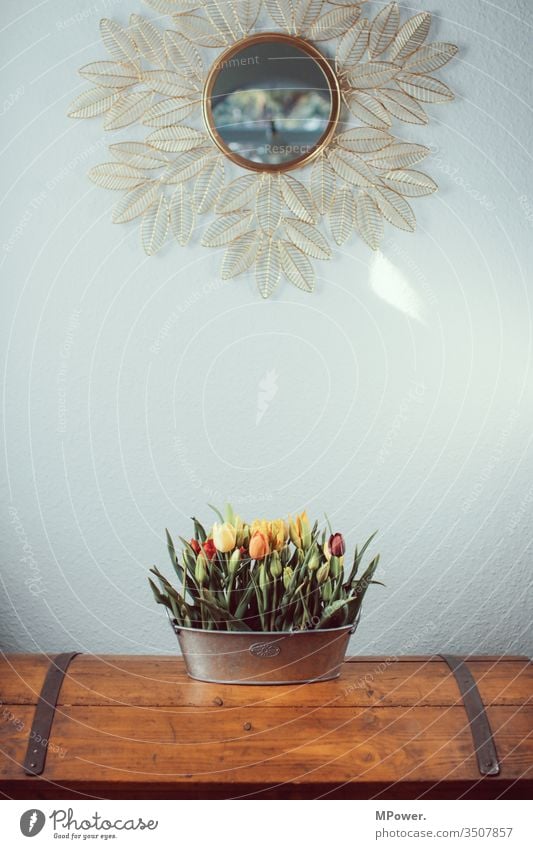 tulips in masses living room lamp Tulip field vases Mirror decorative Flowerpot Ostrich Bouquet Federal State of Tyrol spring
