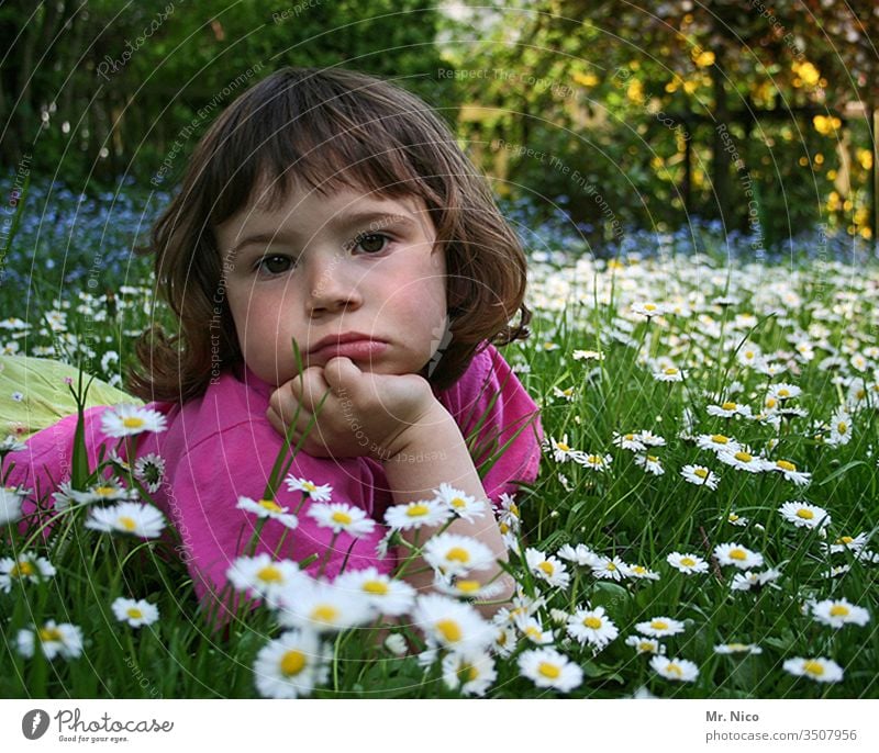 pout Ute Lie Child girl Meadow Garden ponder Sulk Dreamily Thought Rest on Facial expression rested Looking Flower meadow Daisy Cute Think Face portrait