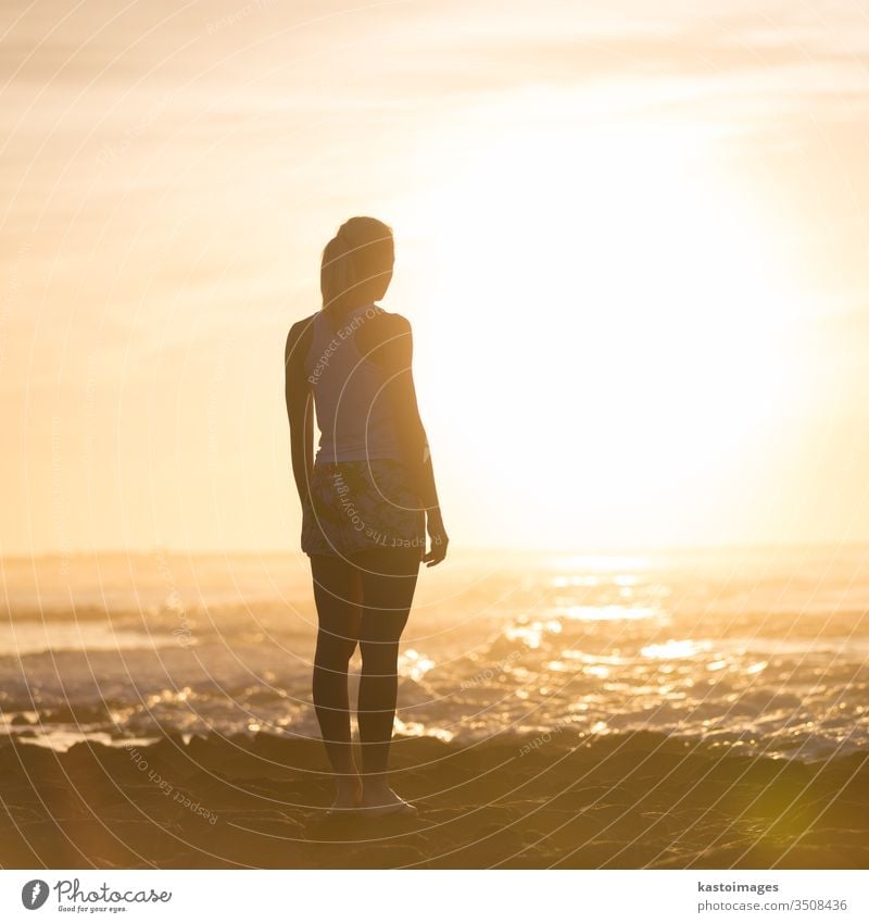 Woman on sandy beach watching sunset. person woman female beautiful outside girl silhouette nature summer lifestyle view adult ocean sunshine leisure serene