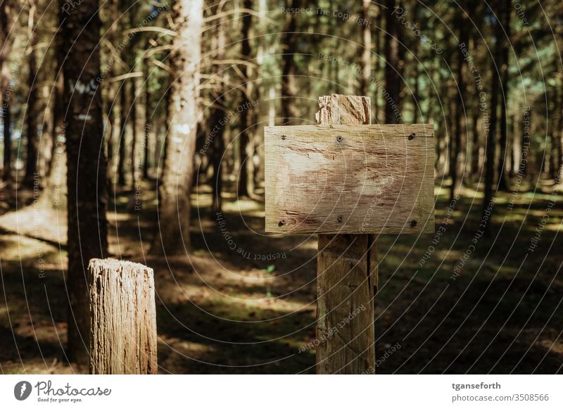 Shield in the forest Signs and labeling Empty Deserted Colour photo Exterior shot Signage wood Close-up Forest Environment point guide