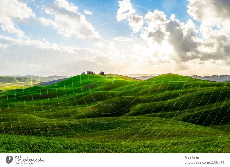 Shallow hilly landscape in the Toscana hillock Hilly landscape Slope Landscape Agriculture Sunrise Tuscany Sky Blue cloud formation Exterior shot green nobody