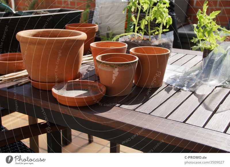 flowerpots repot plants Balcony terrace Garden Gardening Clay pot Terracotta Table