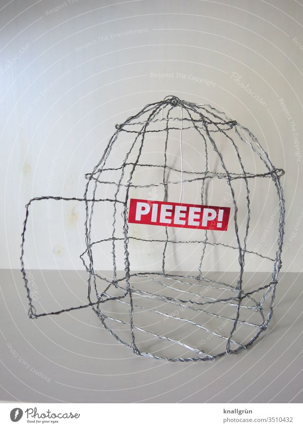 Empty DIY birdcage made of wire with open door, inside only a sign with the word "PIEEEP". Bird's cage Wire Self-made Handicraft Funny wittily