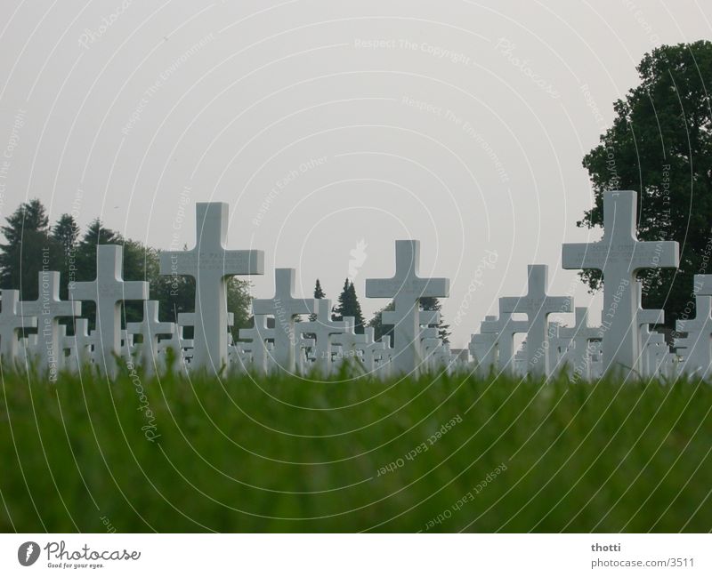 Individual destiny? War Cemetery Grave Remember Soldier Historic Back Death