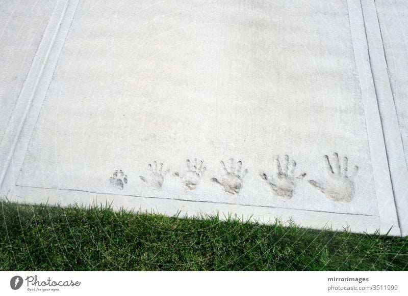 family moment captured in concrete with hand imprints on cement sidewalk going from small to big and includes famly dog's paw print funny cement imprint