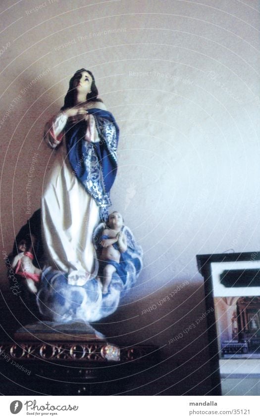 Madonna Religion and faith Catholicism Prayer Looking Interior shot Virgin Mary Leisure and hobbies Upward