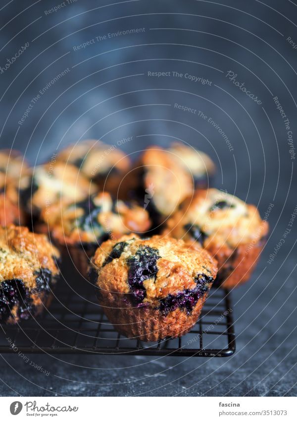 Homemade blueberry muffins on dark background. blueberries blueberries muffins copy space egg-free american cooking homemade low calories yummy nobody above