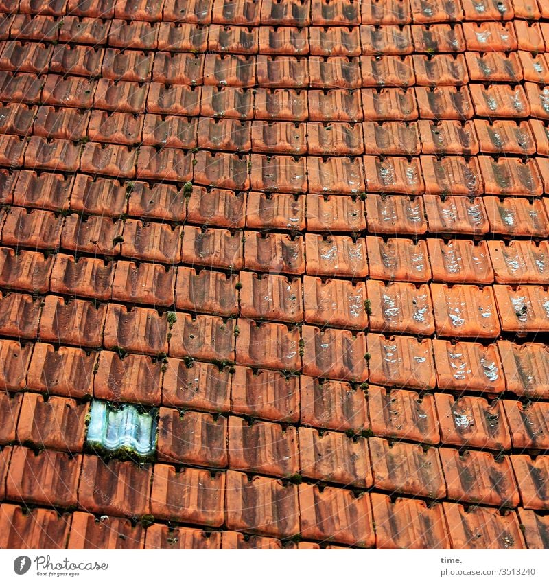 ray of hope out Roof built Inspiration Partially visible Red Architecture Roofing tile roof tiles Glass block Pattern structure Undulating wavy craftsmanship