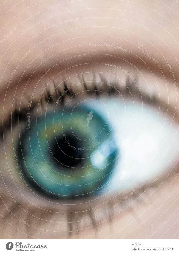 unsharp detail of an eye Eyes Eyelash Blue Green Looking Looking into the camera Detail 1 Pupil Face Human being Close-up Colour photo Day Skin Iris