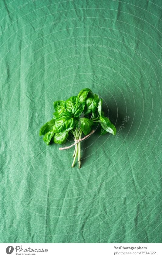 One basil bunch on a green tablecloth. Fresh aromatic herbs 1 Ocimum basilicum above view agriculture bouquet bundle condiment farmer market flat lay flavored