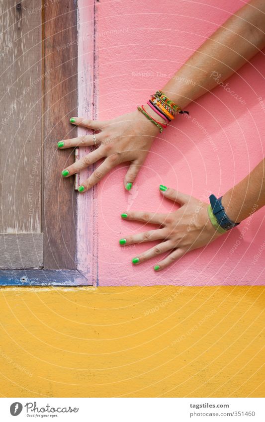 shake on it Hand Women`s hand Colour Dye Multicoloured Pink Yellow Brown Green Contrast Card Thailand Krabi Wall (building) Arm Parts of body Colour photo