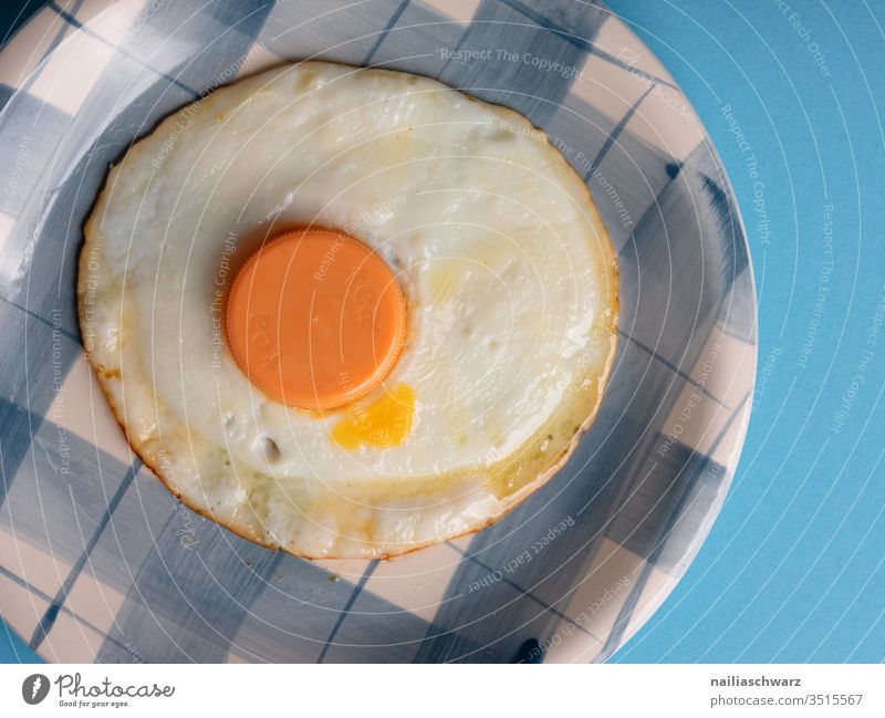 Fried egg with plastic lid Fried egg sunny-side up Plate Blue peek not real Food Nutrition Breakfast Colour photo Deserted Appetite Healthy Crockery Day