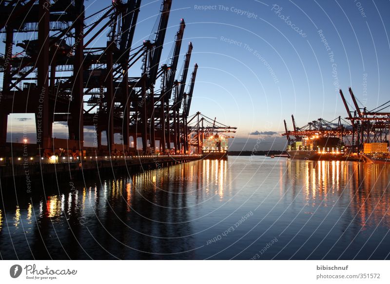 Burchardkai in the evening City trip Water River bank Traffic infrastructure Navigation Container ship Horizon Colour photo Exterior shot Twilight