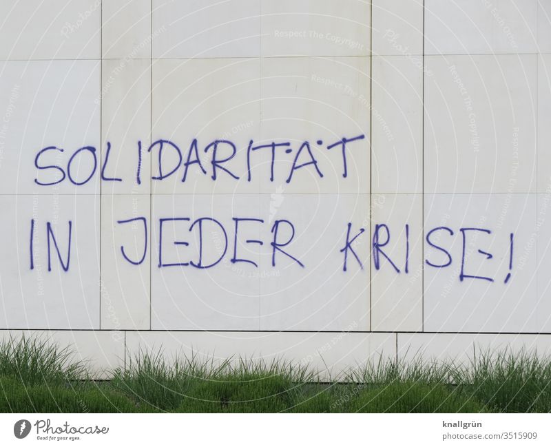 Solidarity in every crisis! Graffiti Society Communicate Politics and state Letters (alphabet) Word leap Typography Capital letter Facade Wall (building)