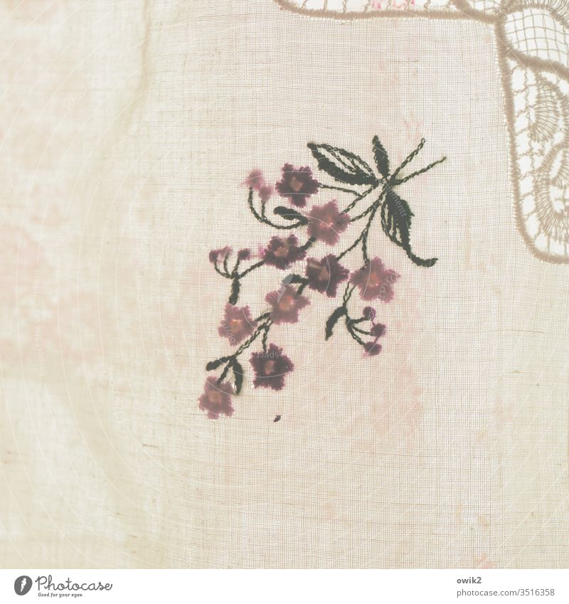 From grandma's times Handkerchief Old Ornament Old fashioned Former Past Nostalgia Photography Ancient Interior shot Colour photo little flowers Flowery pattern