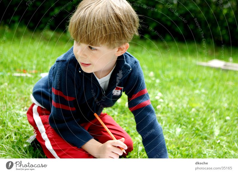 Sammy2 Child Meadow Playing Blonde Boy (child)