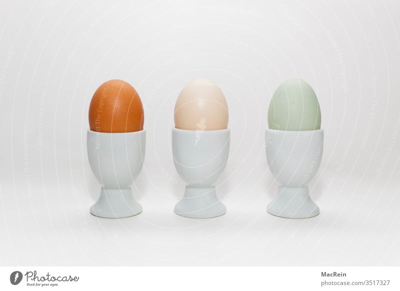 3 eggs from different hens Egg Egg cup eggshell-coloured breakfast eggs Bird's eggs food products nobody Copy Space Oval Chicken products